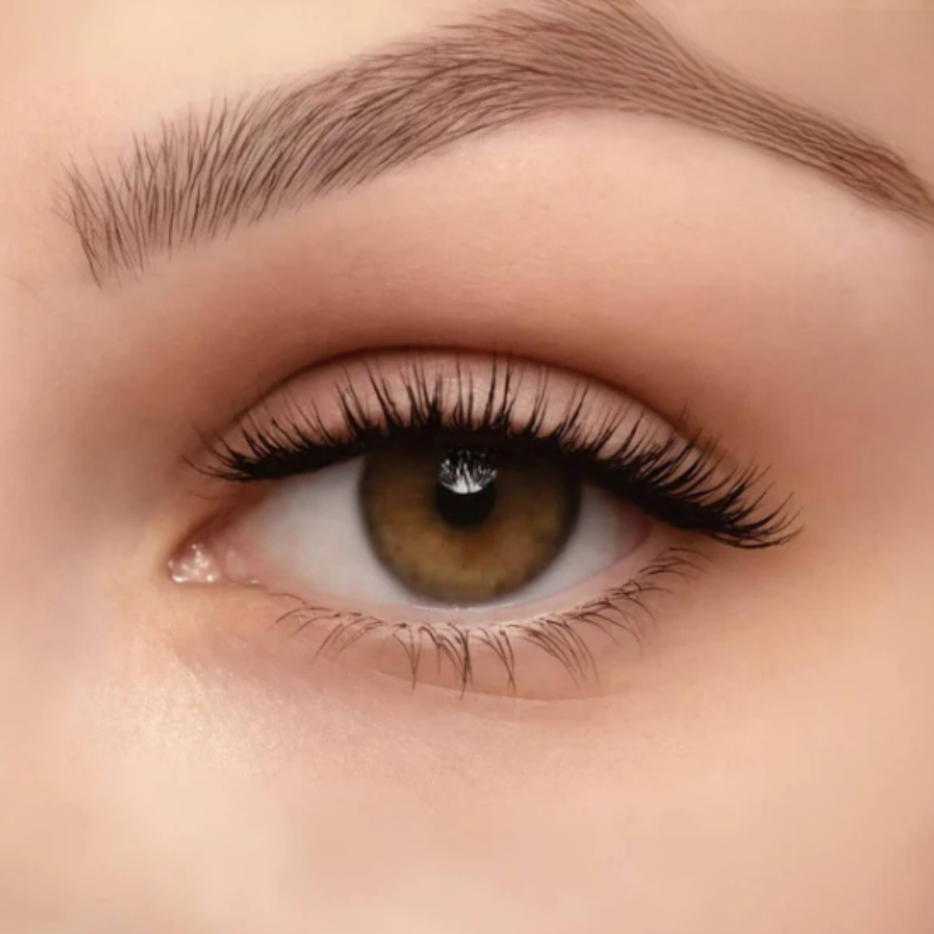 MaggyLash Magnetic Eyelashes for Perfect Lashes Instantly