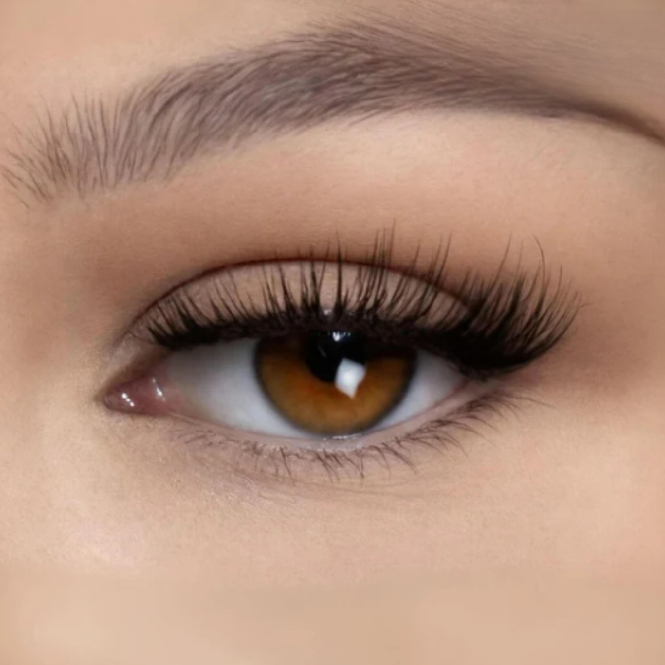 MaggyLash Magnetic Eyelashes for Perfect Lashes Instantly