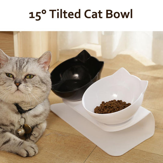 Raised Cat Bowls to Prevent Fast Eating & Stomach Issues
