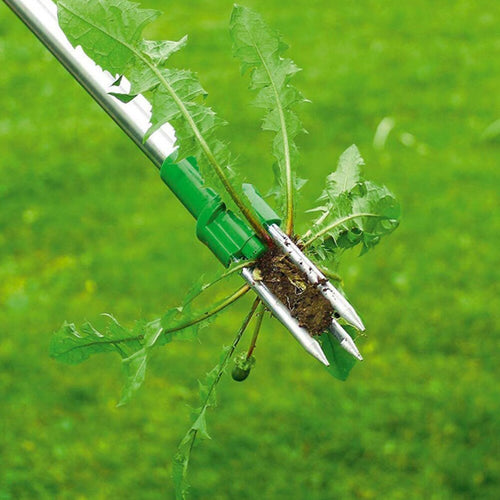 Weed Killer A Beautiful Lawn In No Time