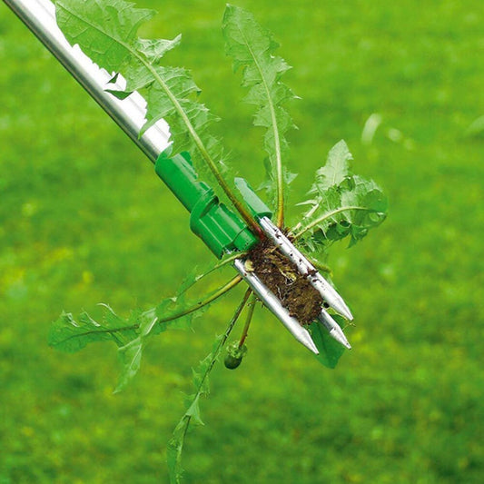 Weed Killer A Beautiful Lawn In No Time