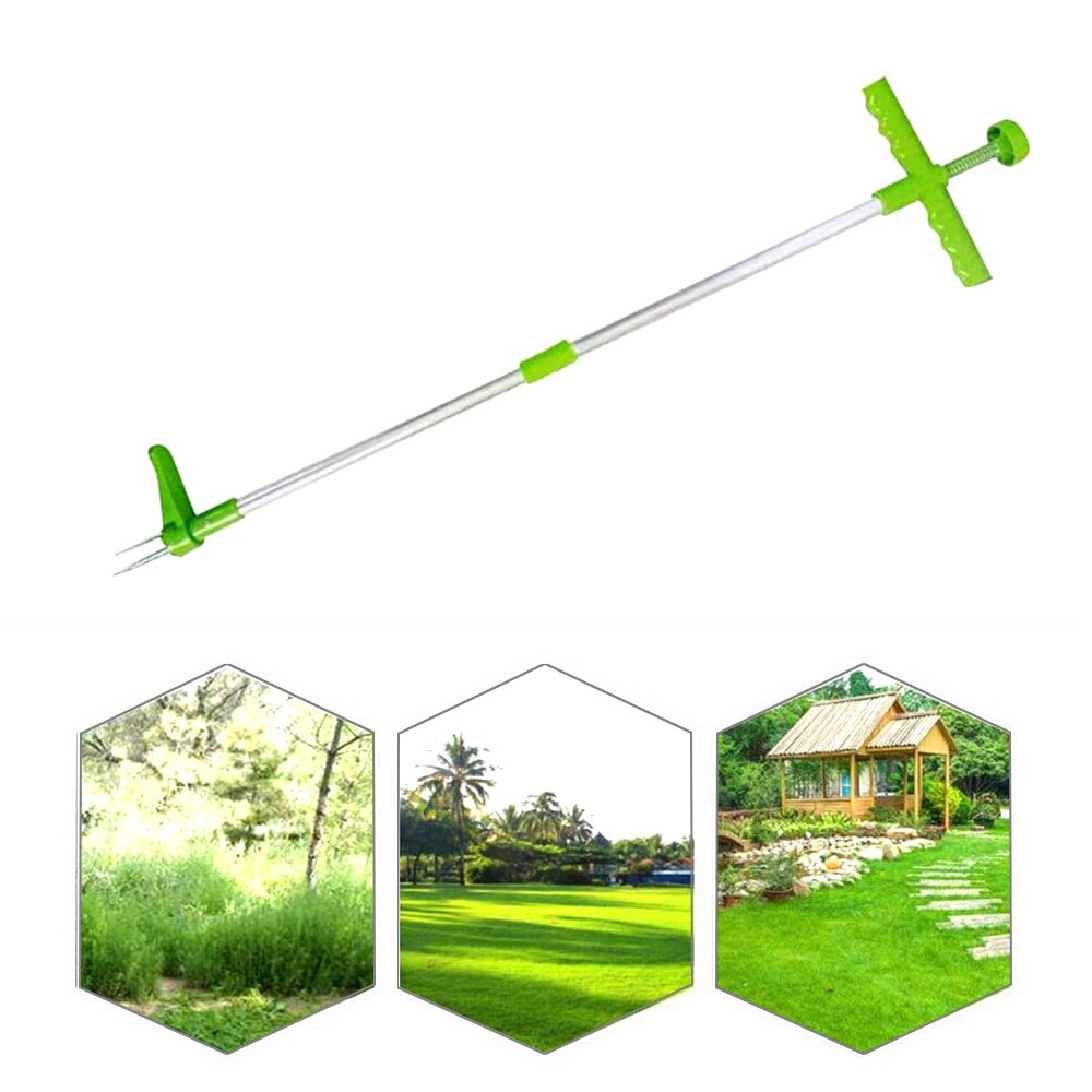 Weed Killer A Beautiful Lawn In No Time