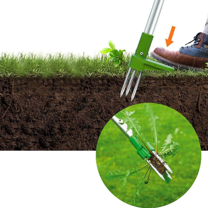 Weed Killer A Beautiful Lawn In No Time