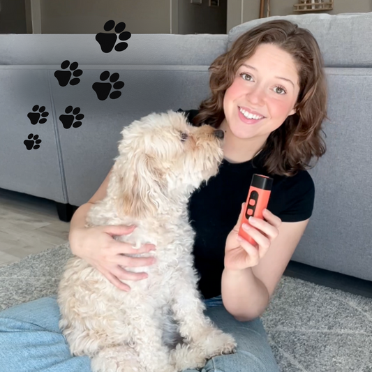Dog Ultrasound Trainer for Undesirable Behavior