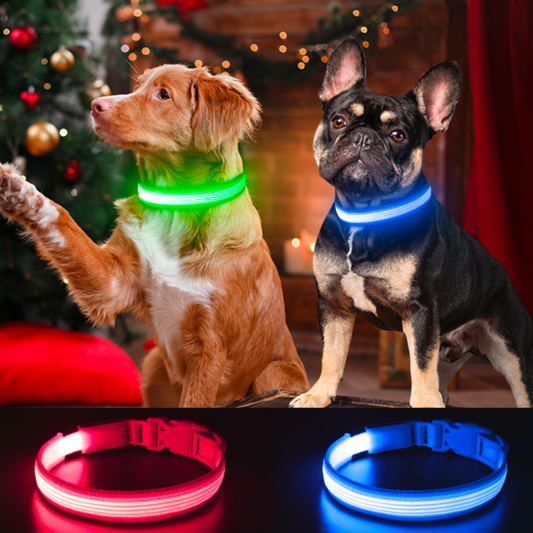 Luminous Dog Collar With Pet Safety Lamp Shelter And