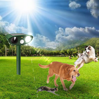 Animal Scare Best in Test 2025 for Garden and Outdoor Use
