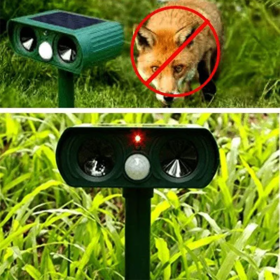 Animal Scare Best in Test 2025 for Garden and Outdoor Use