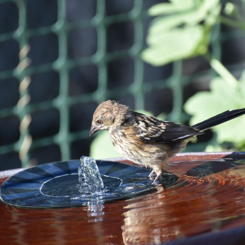 Solar-Powered Bird Bath Fountain - Automatic Water Art for Garden