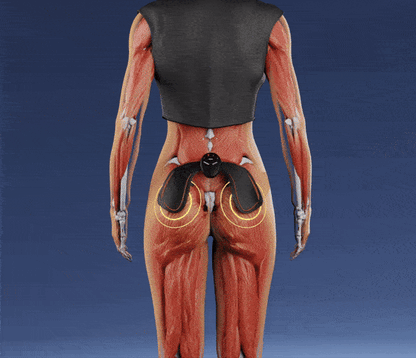 FitCurve Glute Trainer for a Firm, Toned Butt