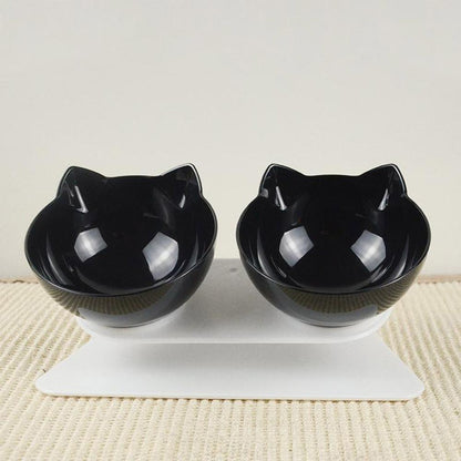 Raised Cat Bowls to Prevent Fast Eating & Stomach Issues
