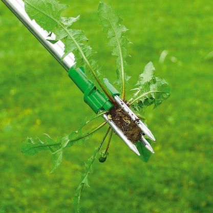 Weed Killer A Beautiful Lawn In No Time