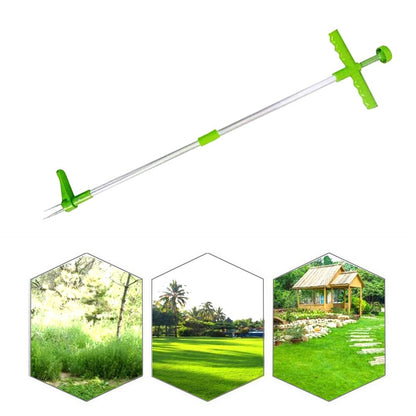 Weed Killer A Beautiful Lawn In No Time