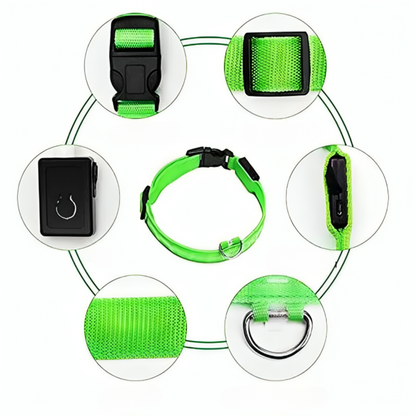 Luminous Dog Collar With Pet Safety Lamp Shelter And
