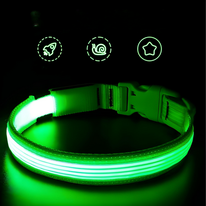 Luminous Dog Collar With Pet Safety Lamp Shelter And