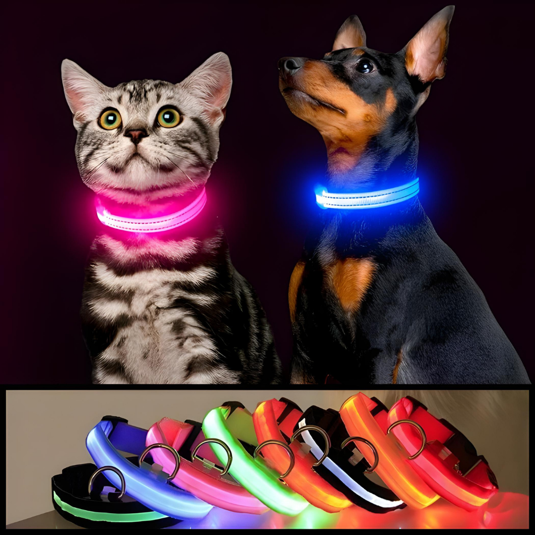 Luminous Dog Collar With Pet Safety Lamp Shelter And